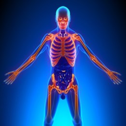 chiropractors can help with fibromyalgia