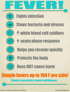 Why simple fevers are safe