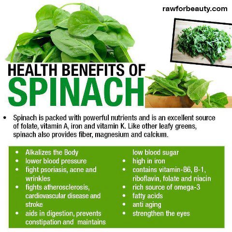 Health Benefits of Spinach Kingston chiropractic Wilkes Barre chiropractic