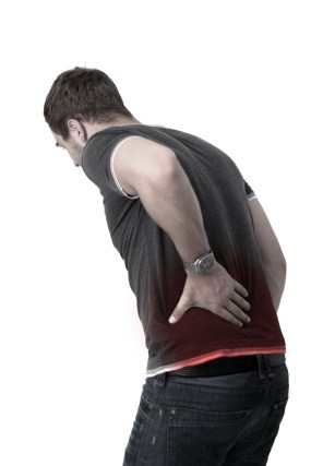 dreamstime_xl_26305744